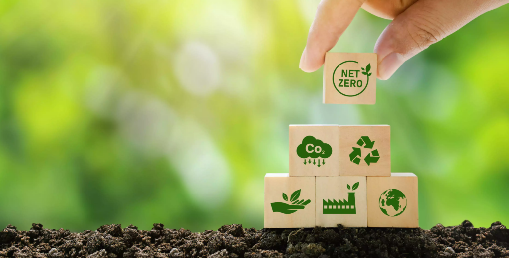 Green practices and eco-friendly initiatives: